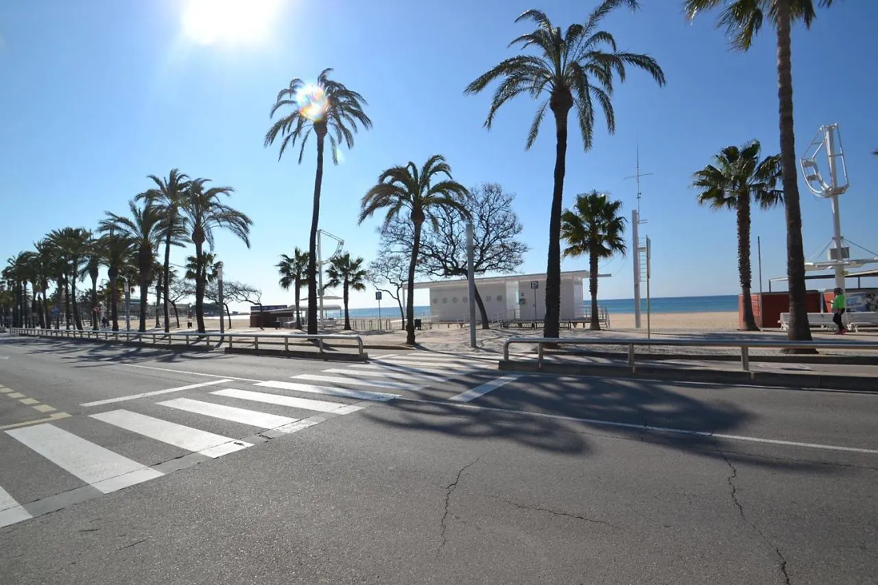 Wvp - Raquel Villa Cambrils Spain
