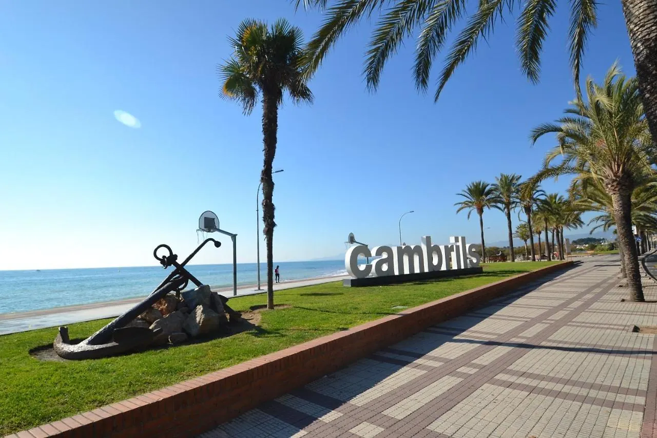 Wvp - Raquel Villa Cambrils
